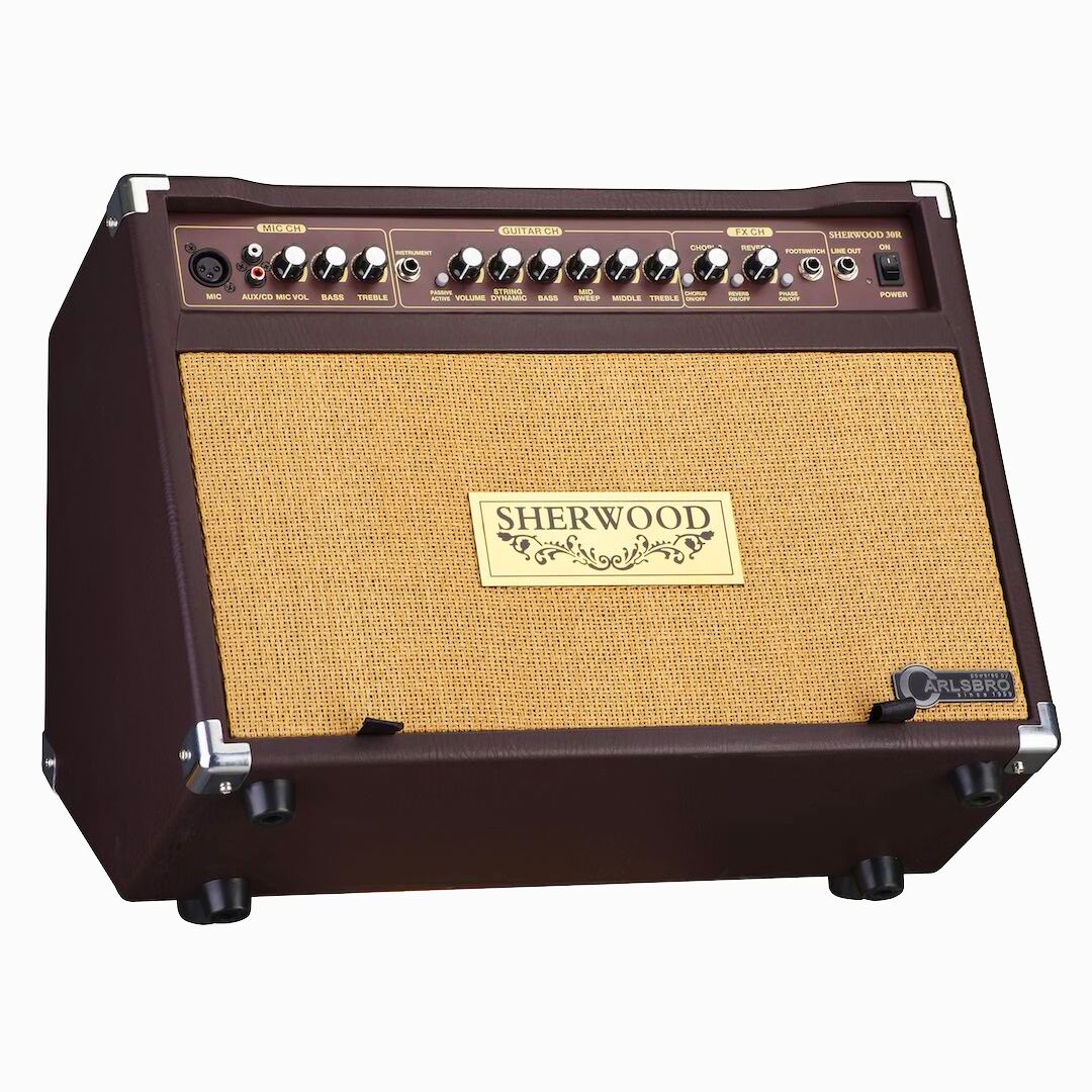 Calrsbro-Sherwood-30-acoustic-amplifier-left-side.jpg